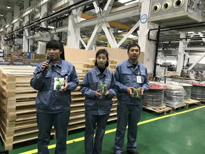 文化 當環保意識與興趣diy相遇